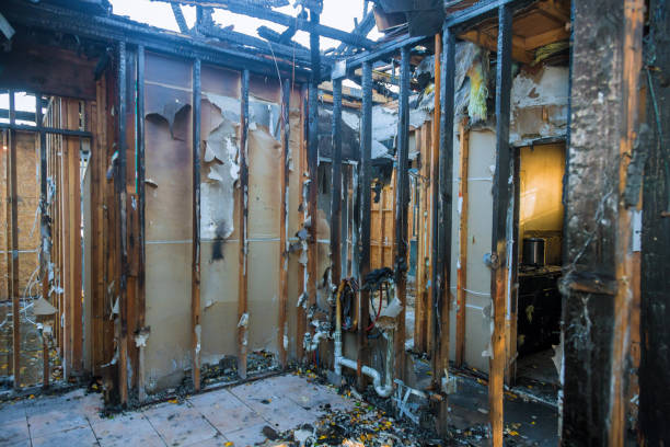 Professional Odor Removal technician working in Montpelier, VT